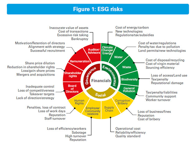 Figure 1: ESG risks. Source: LGIM