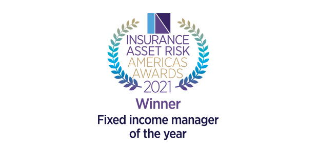 Fixed income manager of the year - Conning