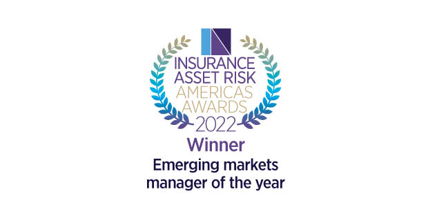Emerging markets manager of the year - MetLife Investment Management