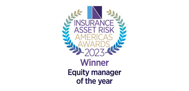 Equity manager of the Year - DWS