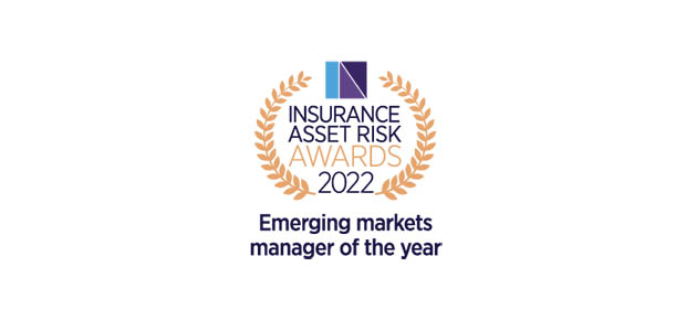 Emerging markets manager of the year - DWS